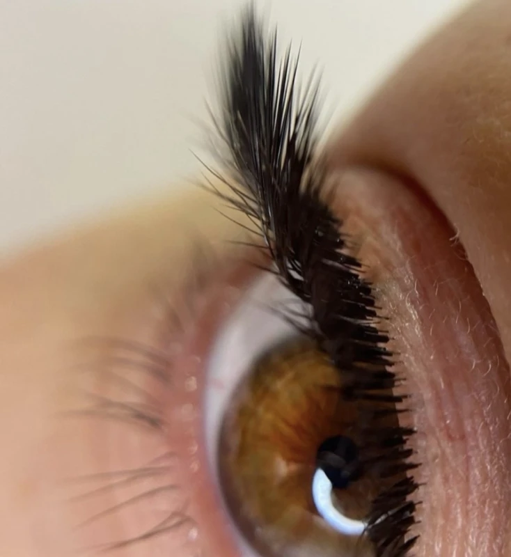 Фото 4 из портфолио Elvira Lashes&Brows