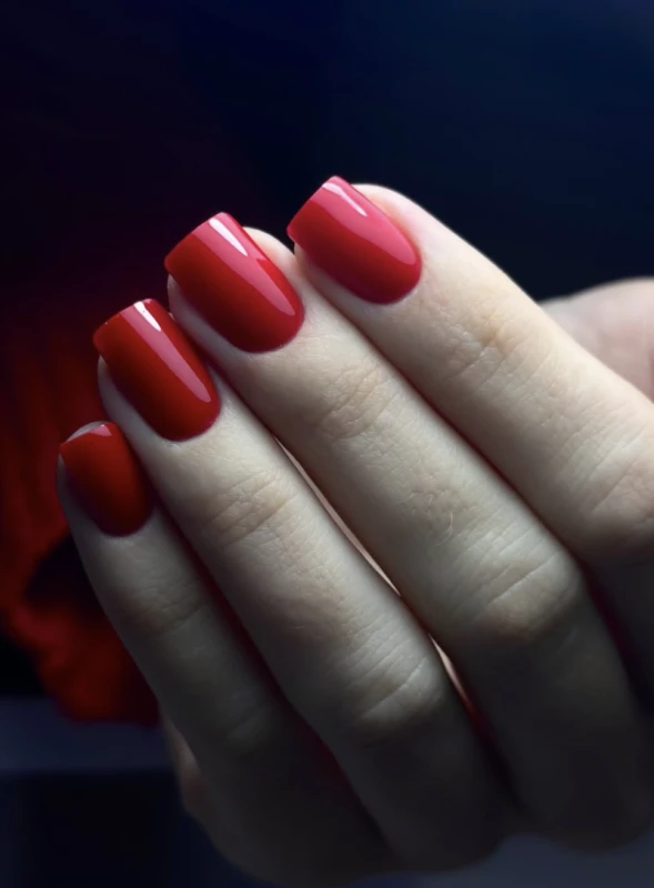 Фото 3 з портфоліо Trendmaker Beauty Bar