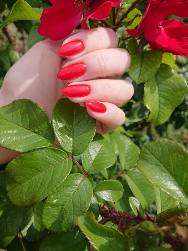 Фото 3 з портфоліо BEAUTYSEKTA.KIEV