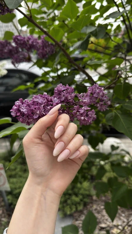 Фото 6 з портфоліо Nails Beauty Bar