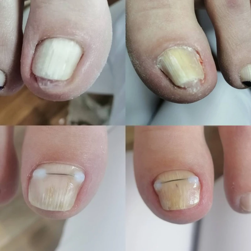 Фото 2 з портфоліо Домінанта