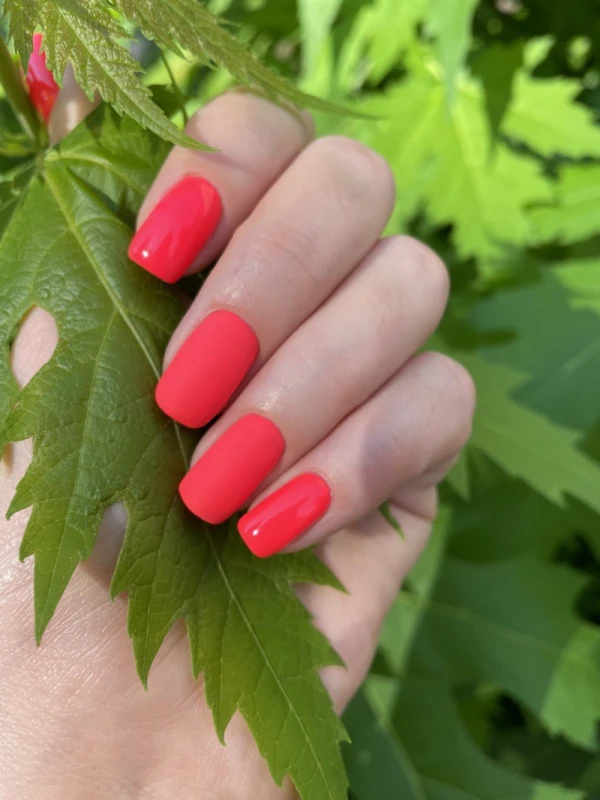 Фото 5 з портфоліо Домінанта